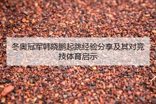 冬奥冠军韩晓鹏起跳经验分享及其对竞技体育启示